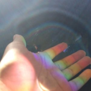 Meet your Posher, Maiya